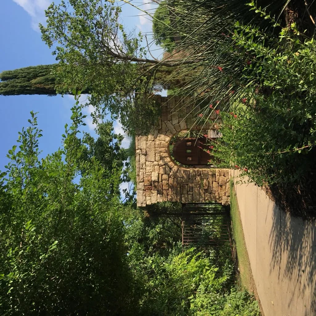 Concrete patio in Keller, TX